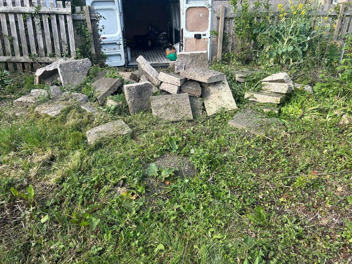 Overgrown yard with scattered concrete blocks and debris before clearance