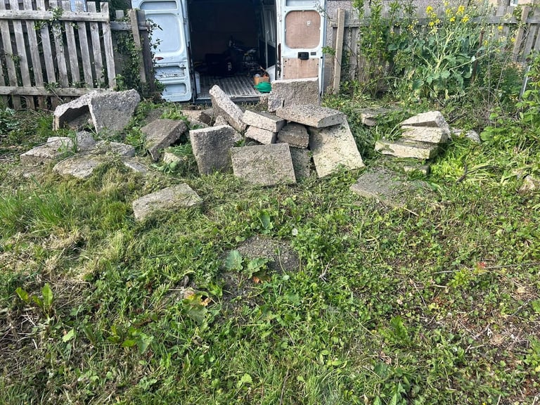 Overgrown yard with concrete slabs and debris before clearance